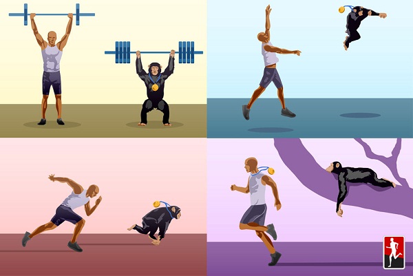 兽娘动物园：除了动物萌娘，你还能从这里了解人类