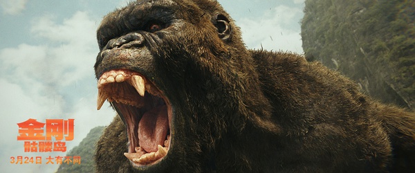 汤姆·希德勒斯顿：金刚比我们所有人都高贵