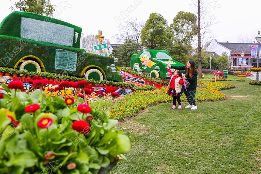 啬园迎春花展开幕，雨后春花更娇艳 (8).jpg