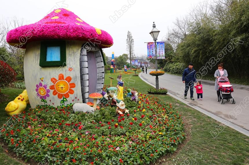 啬园迎春花展开幕，雨后春花更娇艳 (7).jpg