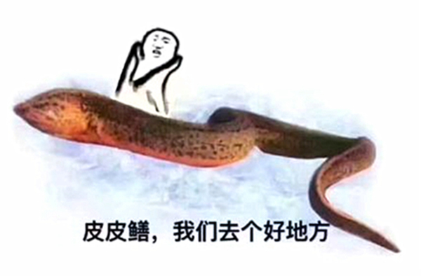 澎湃联播|复盘中韩大战，天时地利之下更需要自我救赎