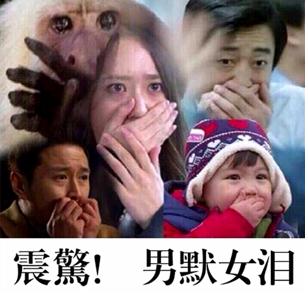 澎湃联播|复盘中韩大战，天时地利之下更需要自我救赎