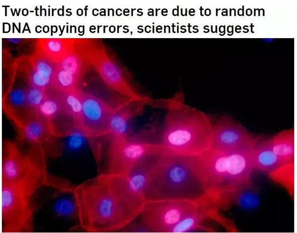 《科学》论文真说66%癌症来自坏运气吗，癌症防控还要不要