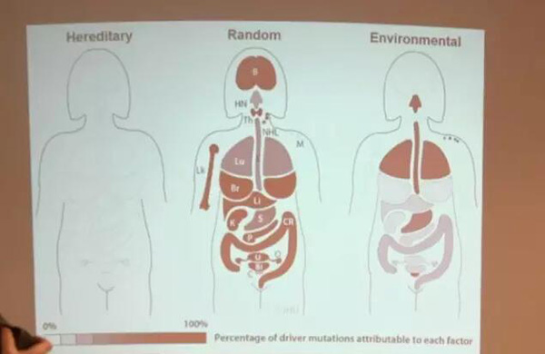 《科学》论文真说66%癌症来自坏运气吗，癌症防控还要不要