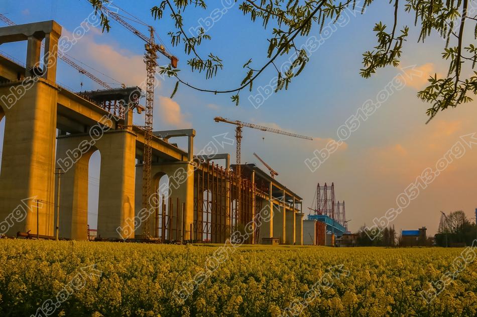 沪通大桥北引桥公铁双层同步推进 (1).jpg