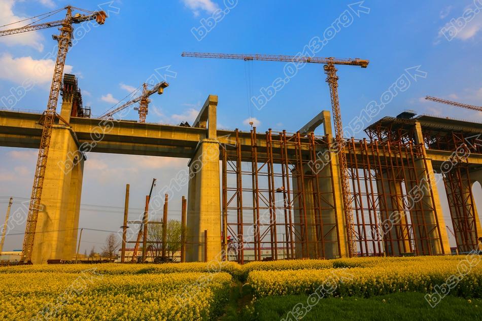 沪通大桥北引桥公铁双层同步推进 (2).jpg