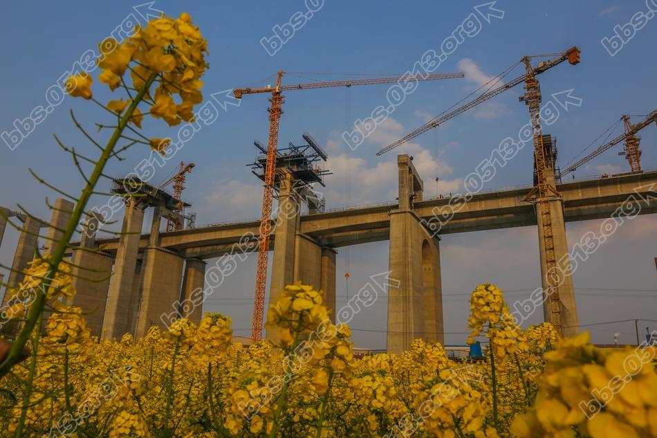 沪通大桥北引桥公铁双层同步推进 (3).jpg