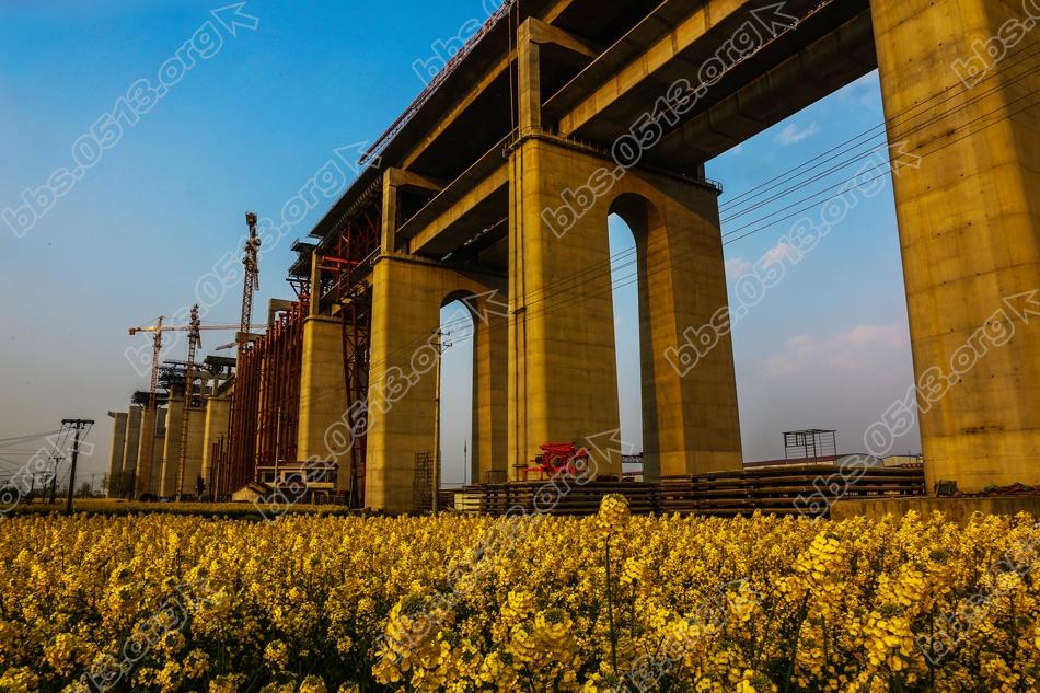 沪通大桥北引桥公铁双层同步推进 (4).jpg