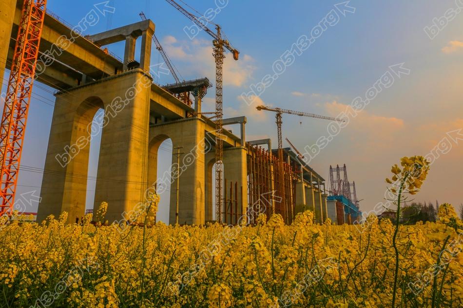 沪通大桥北引桥公铁双层同步推进 (5).jpg