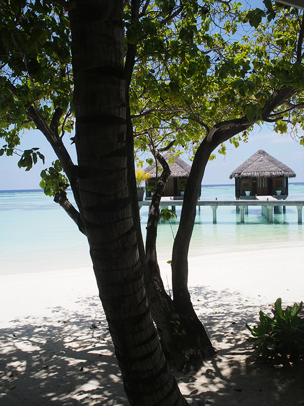 马尔代夫，改变中的天堂