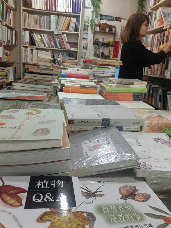 这三家坚持10年的书店：总要找到一种办法撑下去