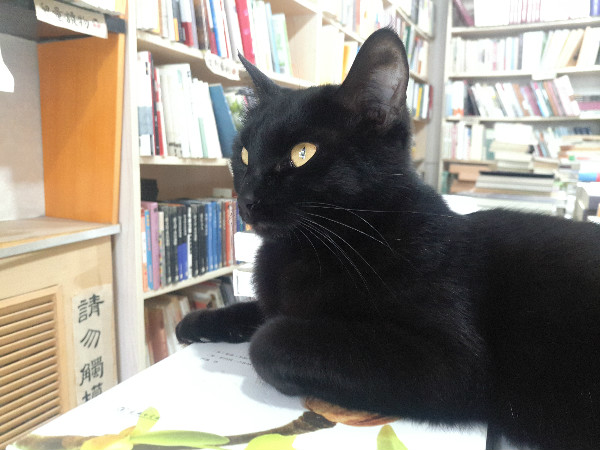 这三家坚持10年的书店：总要找到一种办法撑下去