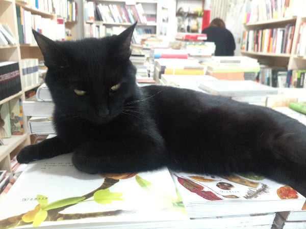 这三家坚持10年的书店：总要找到一种办法撑下去