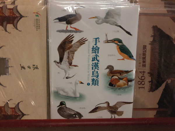 这三家坚持10年的书店：总要找到一种办法撑下去