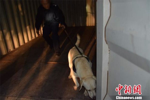 中澳联合侦破特大跨境走私毒品案，缴获冰毒逾百千克