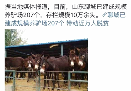 澎湃联播|“我有一头小毛驴，我从来也不骑”