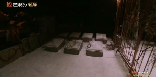 听说这个国产综艺把很多人吓出鸡皮疙瘩