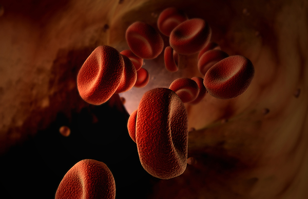 骨髓瘤关爱月｜若出现骨痛及肾功能不全，可能要去血液科