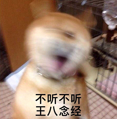 澎湃联播｜中介小哥和他七旬前妻之间不得不说的故事