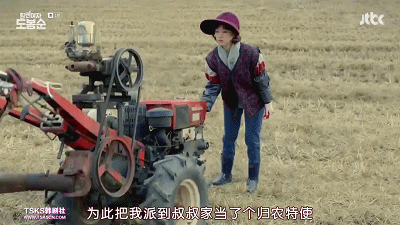 《大力女都奉顺》：论卖萌，我只服她