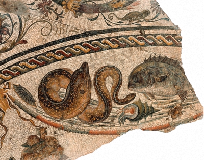 红色如何从贵族与权力的颜色变成革命与无产者的颜色？