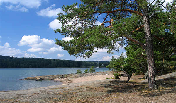 野路子 | 探路斯德哥尔摩群岛