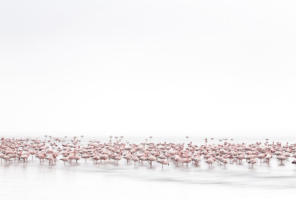 中国摄影师凭借千人打太极照，获索尼世界摄影大赛文化类最佳