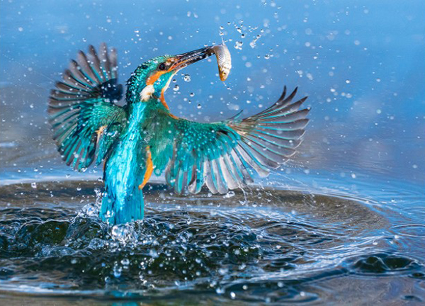 中国摄影师凭借千人打太极照，获索尼世界摄影大赛文化类最佳