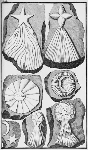 那些被造假坑惨了的古生物学家们