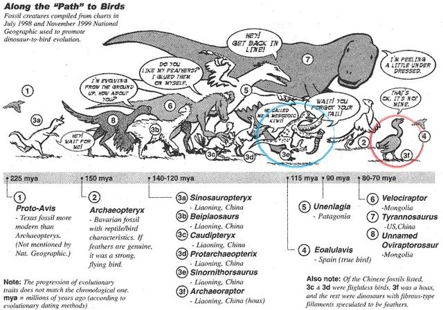 那些被造假坑惨了的古生物学家们