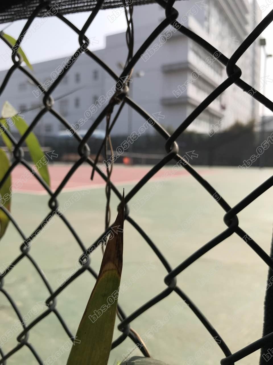 webwxgetmsgimg (3).jpg