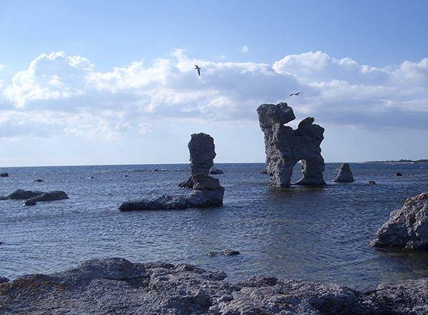 伯格曼的沉默之岛