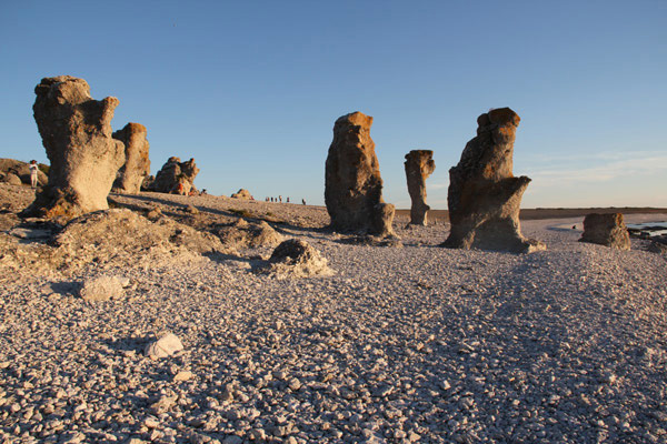 伯格曼的沉默之岛
