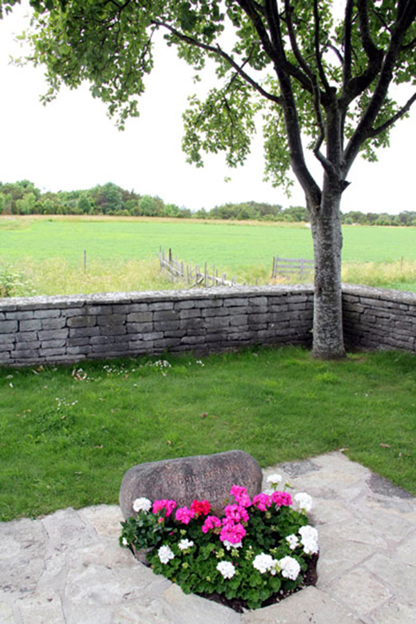 伯格曼的沉默之岛