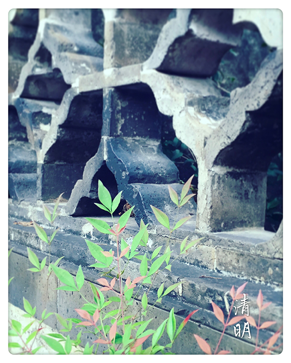 节气｜清明肝火旺，祭扫少忧思