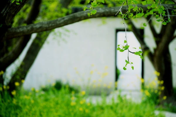 清明｜春天要教会每个人，如何贪生怕死