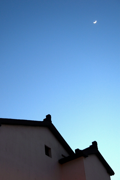 清明｜春天要教会每个人，如何贪生怕死