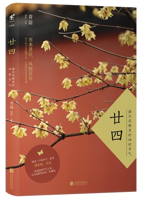 清明｜春天要教会每个人，如何贪生怕死