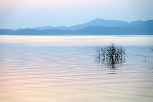清明｜春天要教会每个人，如何贪生怕死