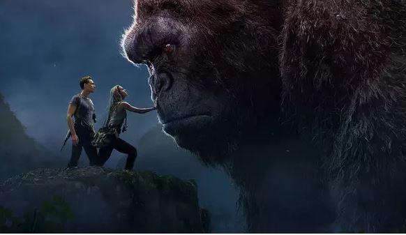 当人类把爱倾注到动物身上时，他一定经历了一段痛苦