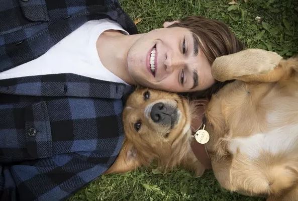 当人类把爱倾注到动物身上时，他一定经历了一段痛苦