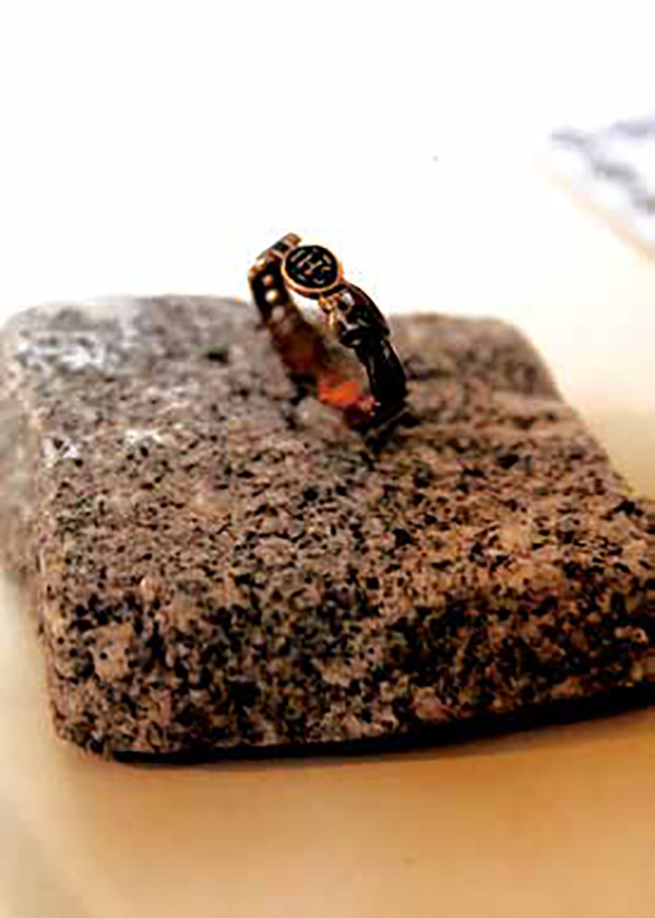 追随腓特烈二世的足迹