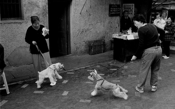 摄影师胡杨：一次又一次，漫长而深入的拍摄