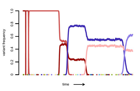 自然选择为什么还没有消灭遗传疾病