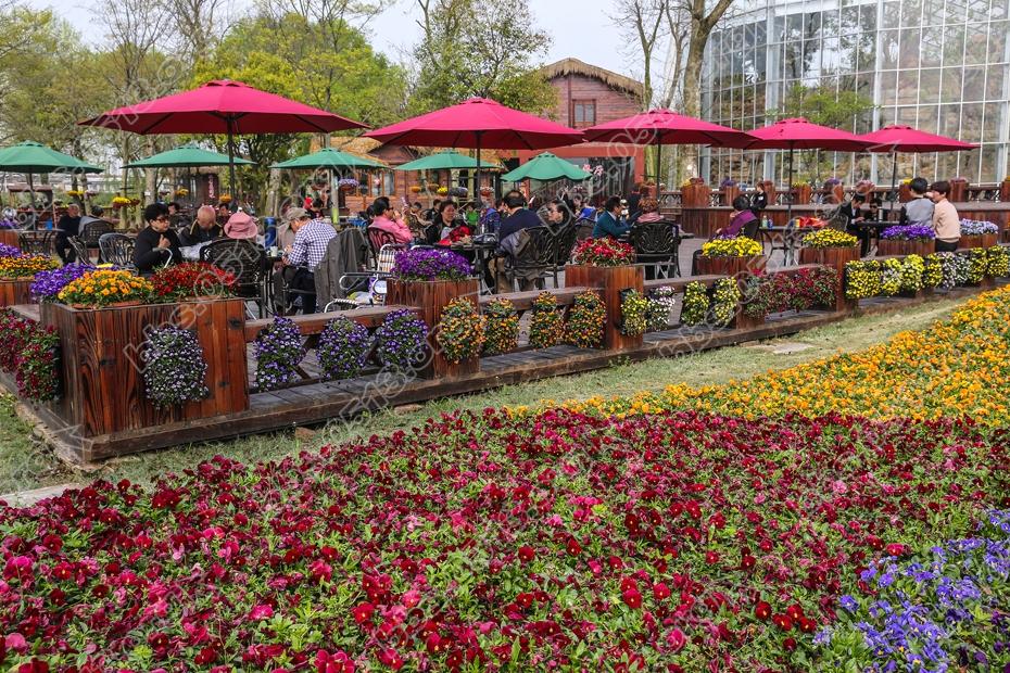 南通绿博园迎来客流高潮 (5).jpg