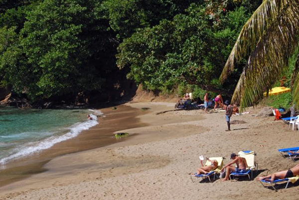 当观鲸之旅成为惊悚之旅——你赞成捕鲸业么？