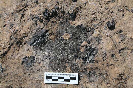 考古奥斯卡︱考古系研究生：我预测的2016十大考古发现