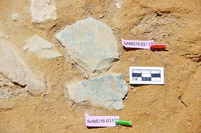 考古奥斯卡︱考古系研究生：我预测的2016十大考古发现