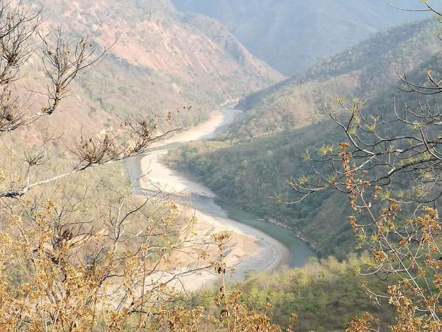 比熊猫还濒危的绿孔雀，正在被水电站毁灭