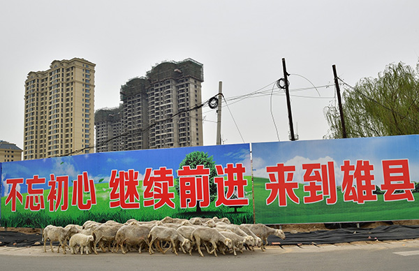 雄安新区未来的住房市场什么样？新加坡模式可能是范本